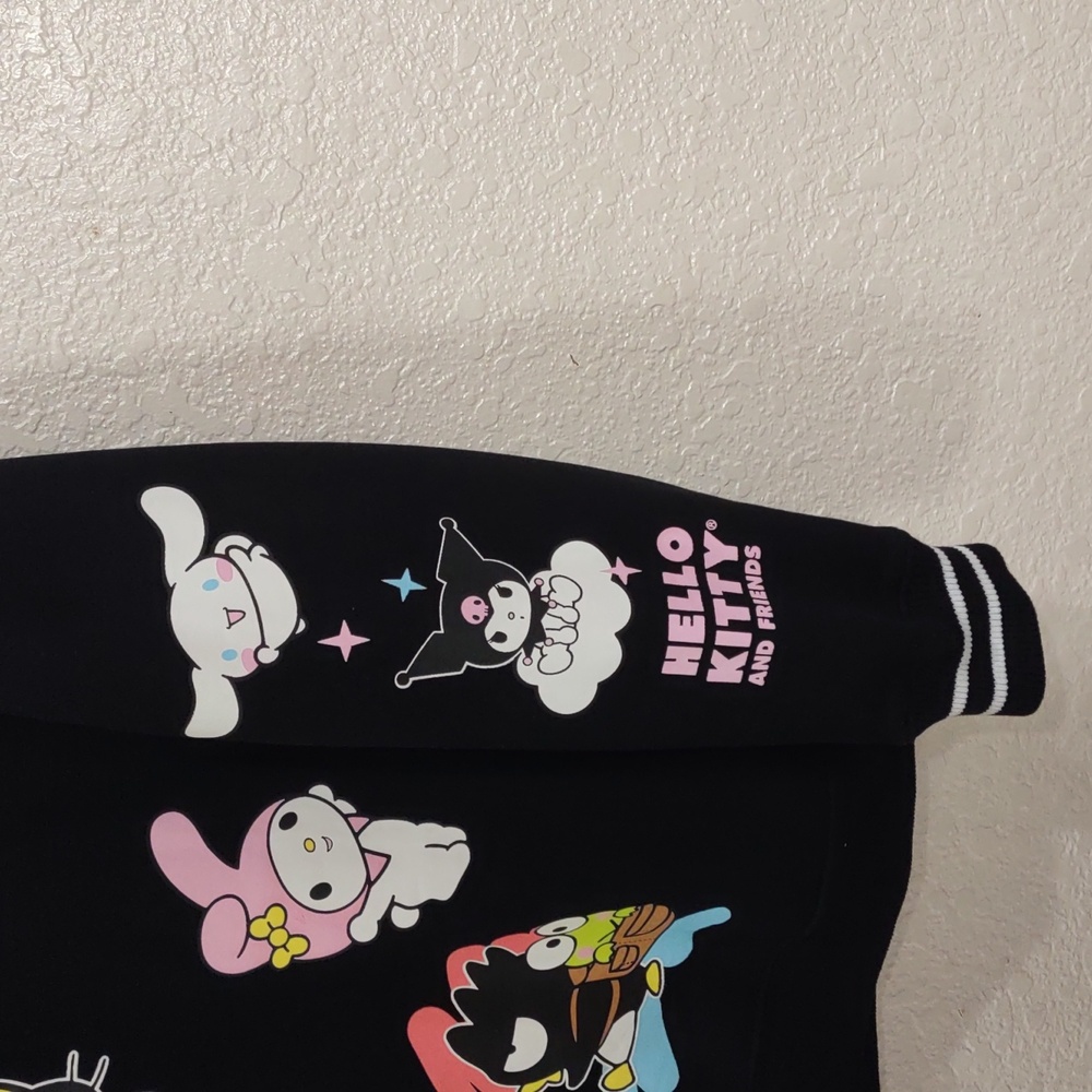 Hello Kitty And Friends By Sanrio Black Sweatshirt with Colorful Friends Design - Picture 5 of 17